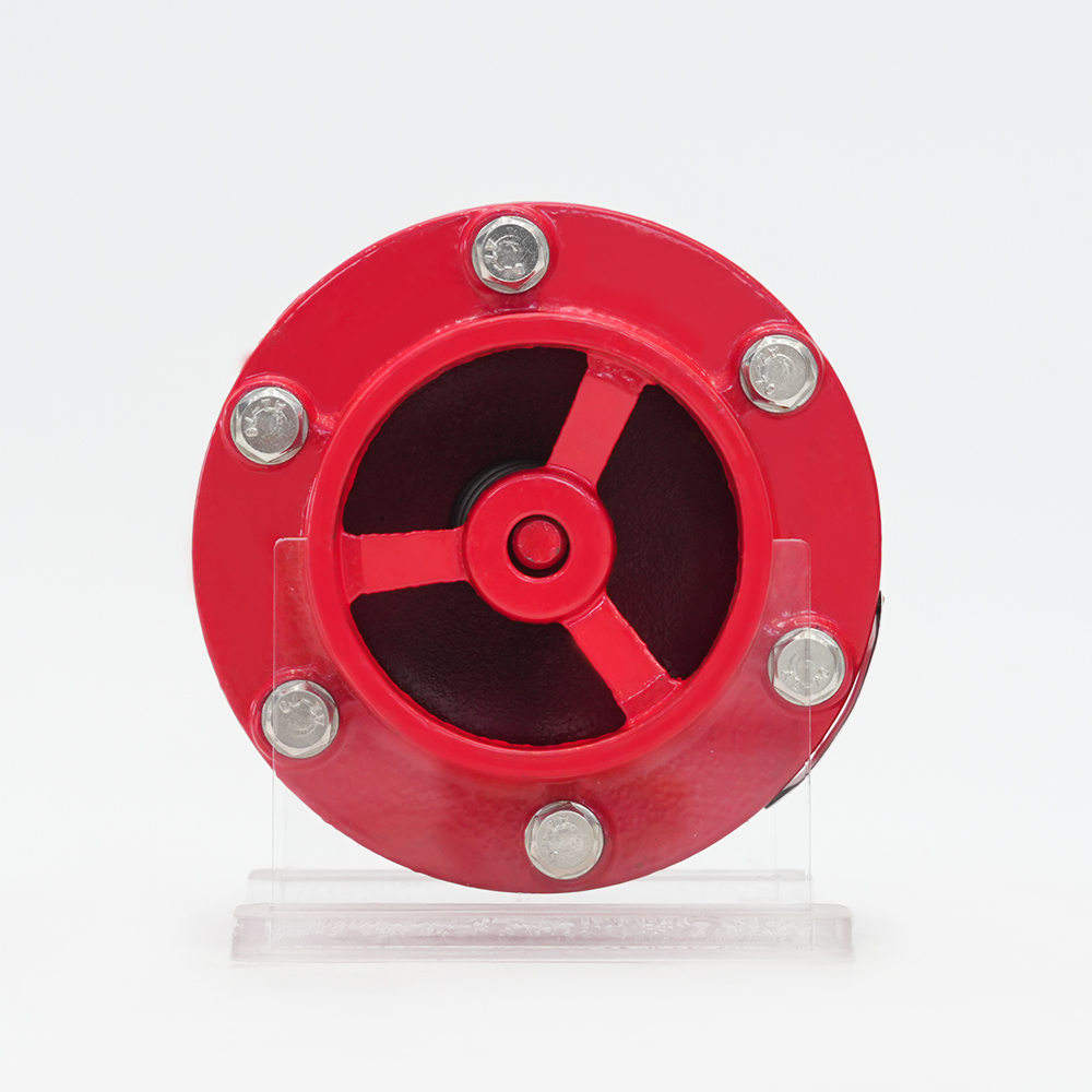 Zawór zwrotny z rowkowanym tłumikiem GHC41X-16Q